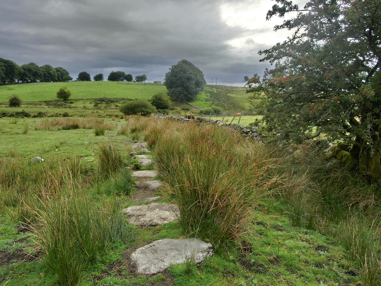 dartmoor-200587_1280